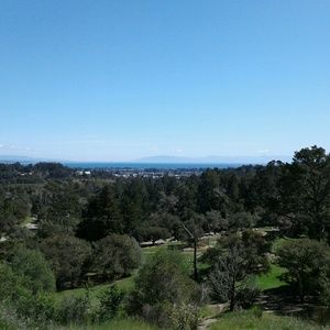 Meet your Posher, Calob